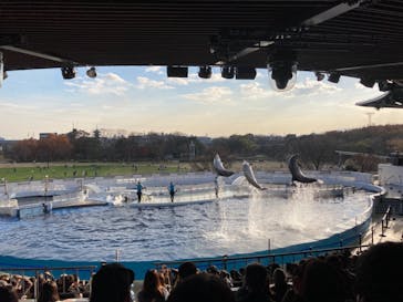 京都水族館に投稿された画像（2021/12/11）