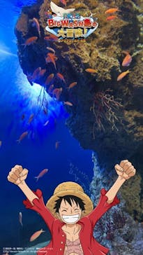 アクアワールド茨城県大洗水族館に投稿された画像（2021/12/11）