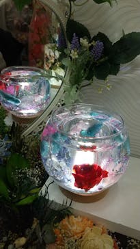 ずこうしつ〜sugamo〜に投稿された画像（2021/12/11）