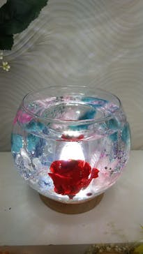 ずこうしつ〜sugamo〜に投稿された画像（2021/12/11）