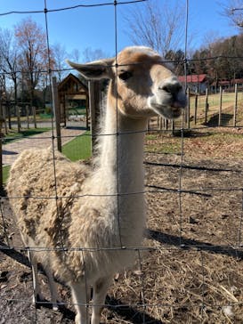 まかいの牧場に投稿された画像（2021/12/11）