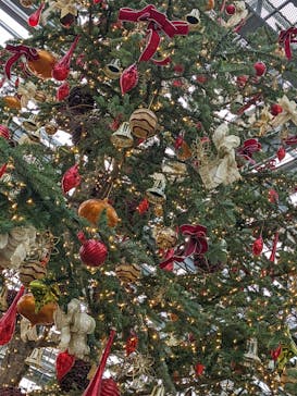 安城産業文化公園デンパークに投稿された画像（2021/12/11）