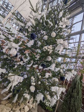 安城産業文化公園デンパークに投稿された画像（2021/12/11）