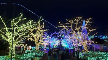 よみうりランド 遊園地に投稿された画像（2021/12/11）