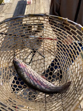 大安トラウトレイクに投稿された画像（2021/12/11）