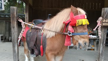 東映太秦映画村に投稿された画像（2021/12/11）