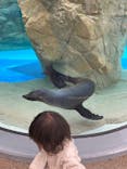 京都水族館に投稿された画像（2021/12/11）