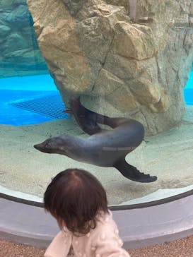 京都水族館に投稿された画像（2021/12/11）