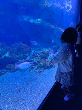 京都水族館に投稿された画像（2021/12/11）