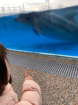 京都水族館に投稿された画像（2021/12/11）