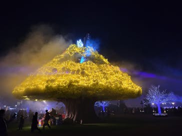 東京メガイルミに投稿された画像（2021/12/11）