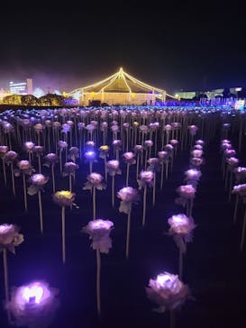 東京メガイルミに投稿された画像（2021/12/11）