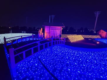 東京メガイルミに投稿された画像（2021/12/11）