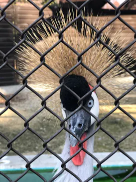 天王寺動物園に投稿された画像（2021/12/11）
