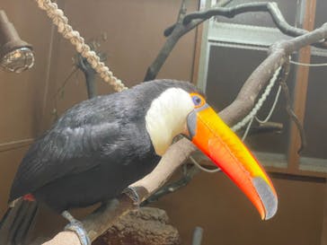 東武動物公園に投稿された画像（2021/12/11）