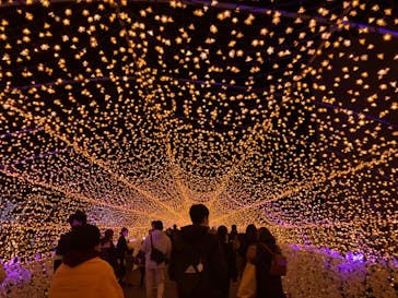 東京メガイルミに投稿された画像（2021/12/11）