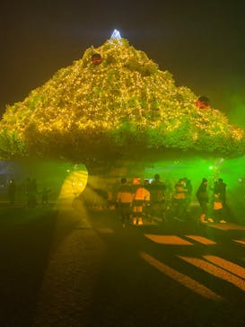 東京メガイルミに投稿された画像（2021/12/11）