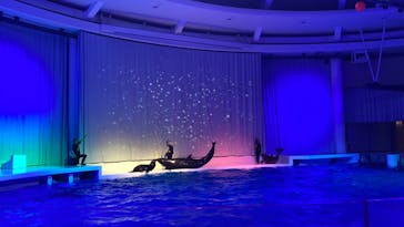 アクアワールド茨城県大洗水族館に投稿された画像（2021/12/11）