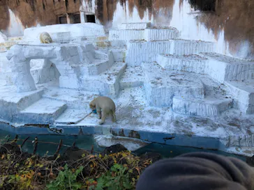 天王寺動物園に投稿された画像（2021/12/11）