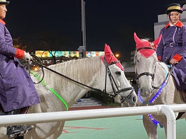 東京メガイルミに投稿された画像（2021/12/11）