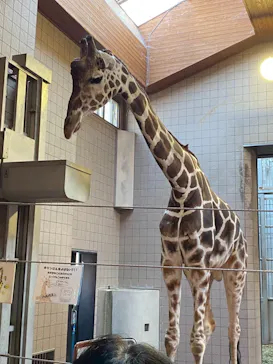 天王寺動物園に投稿された画像（2021/12/11）