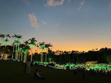 美らヤシパークオキナワ・東南植物楽園に投稿された画像（2021/12/11）