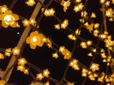 東京メガイルミに投稿された画像（2021/12/11）