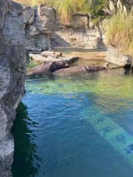 天王寺動物園に投稿された画像（2021/12/11）