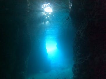 DIVING-SHOP SUNSに投稿された画像（2021/12/11）