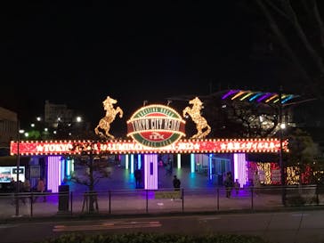 東京メガイルミに投稿された画像（2021/12/11）