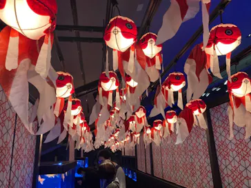 すみだ水族館に投稿された画像（2021/12/11）