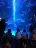 すみだ水族館に投稿された画像（2021/12/11）