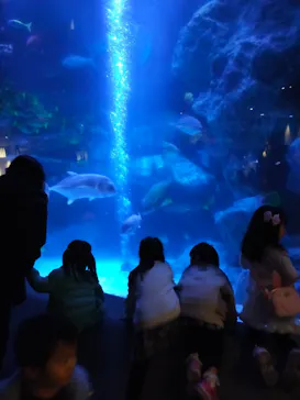 すみだ水族館に投稿された画像（2021/12/11）