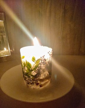 ずこうしつ〜sugamo〜に投稿された画像（2021/12/11）