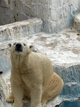 天王寺動物園に投稿された画像（2021/12/11）