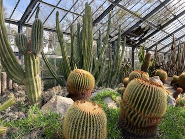 アロハガーデンたてやまに投稿された画像（2021/12/11）