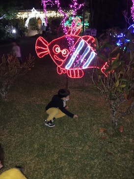 美らヤシパークオキナワ・東南植物楽園に投稿された画像（2021/12/11）