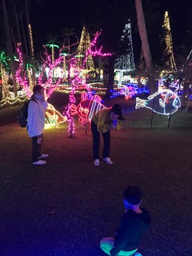 美らヤシパークオキナワ・東南植物楽園に投稿された画像（2021/12/11）