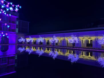 神戸イルミナージュに投稿された画像（2021/12/11）