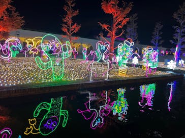 神戸イルミナージュに投稿された画像（2021/12/11）