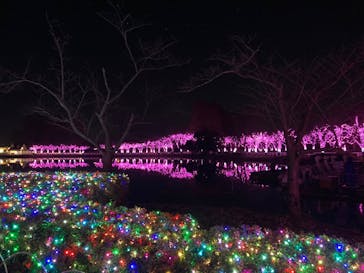 東武動物公園に投稿された画像（2021/12/11）