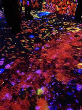 森ビル デジタルアート ミュージアム：エプソン チームラボボーダレスに投稿された画像（2021/12/11）