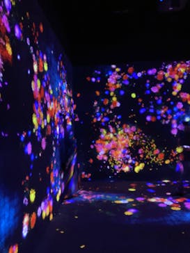 森ビル デジタルアート ミュージアム：エプソン チームラボボーダレスに投稿された画像（2021/12/11）