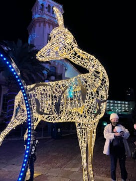 ポルトヨーロッパに投稿された画像（2021/12/11）