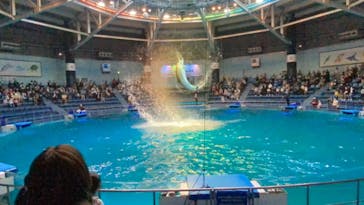 マクセル アクアパーク品川に投稿された画像（2021/12/11）