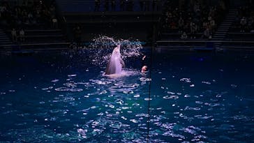 マクセル アクアパーク品川に投稿された画像（2021/12/11）