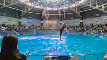 マクセル アクアパーク品川に投稿された画像（2021/12/11）