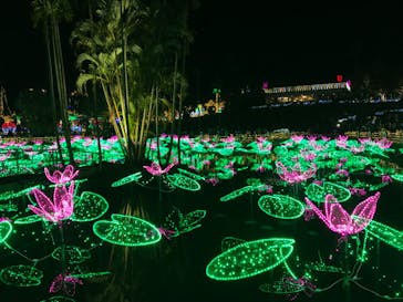 美らヤシパークオキナワ・東南植物楽園に投稿された画像（2021/12/11）