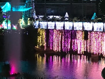 美らヤシパークオキナワ・東南植物楽園に投稿された画像（2021/12/11）