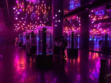 マクセル アクアパーク品川に投稿された画像（2021/12/11）